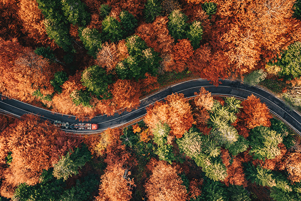 Fall Car Care Checklist: What Do We Inspect Before Winter Arrives? | Yates Automotive